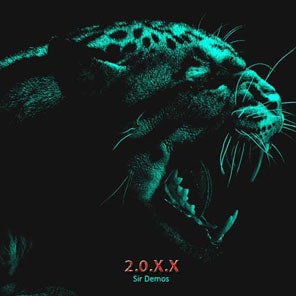 Pochette — 2.0.X.X